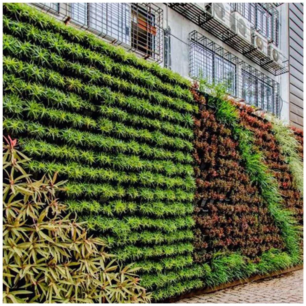 Ghar Sansar - Natural Vertical Grass 3